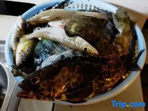 Lingshui Yinanwan Homestay (Nanwan Monkey Island Branch) - Image 5