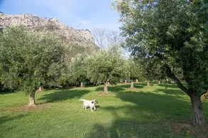 Belvedere Monte Leano - Image 2