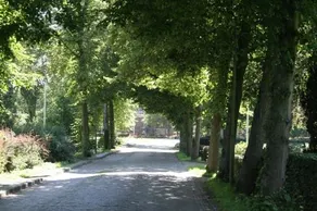 Lyts Kanaan - Image 5
