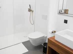 Holiday Home in Achterhoek With Pool & Sauna - Image 5