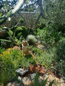 PERE - Image 5