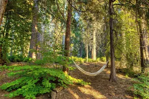A-frame Retreat Chic and Modern Forest Views, Hammock, Outdoor Dining, Decks - Image 4