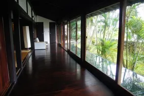 Le Lotus Bleu - Image 5