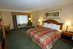 The Watson Hotel - Image 4