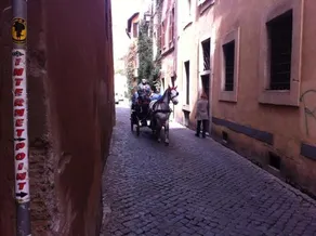 Oasi Navona - Image 3