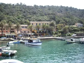 Les Palmiers - Image 2