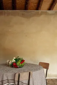 Masia Casajoana Rural - Image 4