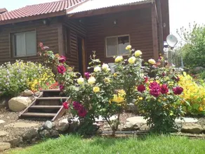 Liats Cabins - Image 2