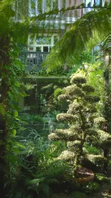 Garden Suite Centre - Image 4