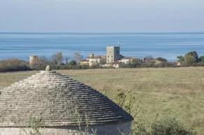 Fermio - Image 5