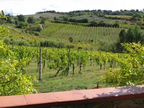 Piccolo Sole - Image 4