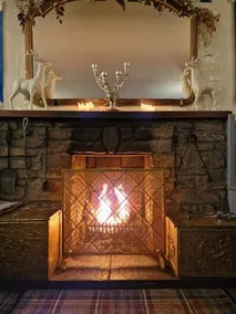 The White Stag - Image 2