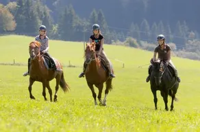 Familien Resort Petschnighof - Image 5