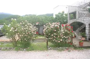 Apartments Savina - Image 2