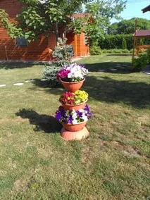 Fahaz - Image 2