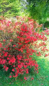 Recanto da Natureza - Image 5