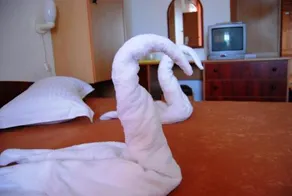 Hotel Delta - Image 5