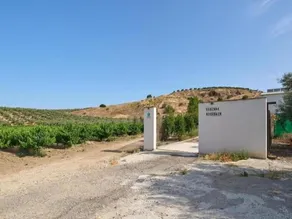 Belvilla by OYO Piso confortable en Montilla - Image 2