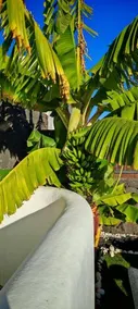 Luxury Marina - Image 3