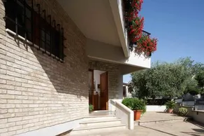 La Mimosa - Image 4