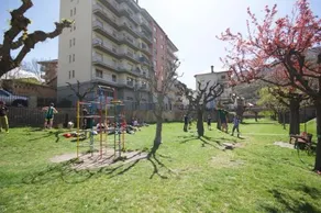 Sort Experience Live The Pyrenees - Image 2