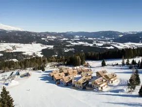 Cozy Chalet in Weißpriach with Terrace - Image 3