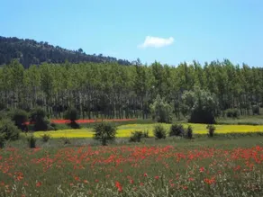 Alcala De La Selva Apartment - Image 5