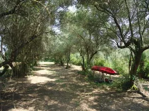 Elaionas - Image 3