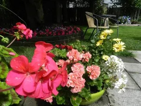 Serenity Bed and Breakfast - Image 4
