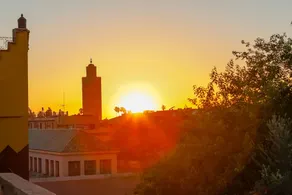 Riad Tahili - Image 2