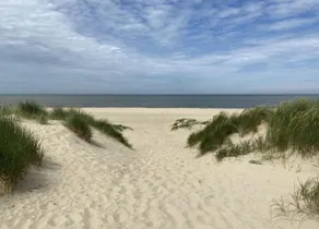 Holiday Home in Zeeland with Romantic Terrace - Image 4