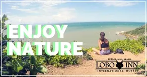 Lobo Inn International Hostel - Image 5