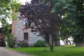 Bosco dei Poveri - Image 5