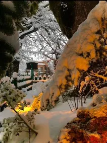 Asimina Guesthouse - Image 2