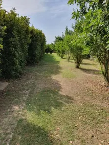 Casapanetta - Image 4