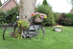 Hotel-B&B De Lindenhof - Image 3