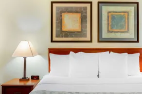La Quinta Inn by Wyndham Chicago Willowbrook - Image 5