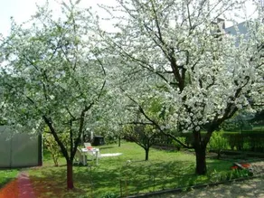 Holiday Home in  Budapest - Image 2