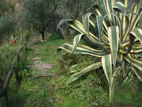 B&B Il Chioso - Image 2