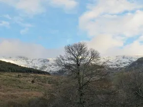 Casa Orgaz - Image 2