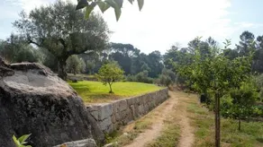 Quinta Da Pedra Mija - Image 5