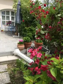 Kleine Ferienwohnung Mit Garten - Image 5