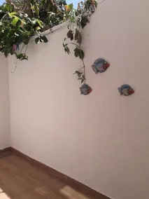 Flats Santa Genoveva - Image 3