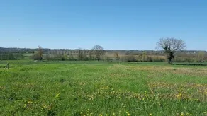l Oiseau Bleu - Image 5