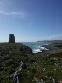 Muntedoru - Image 2