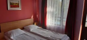 Fantanita Craiesei - Image 2