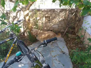 Antonia's House With Free Bikes - Image 4