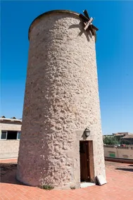 SON MOLL - Image 5