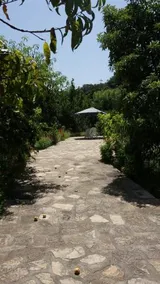 Alekos Rooms and Apartments - Image 4