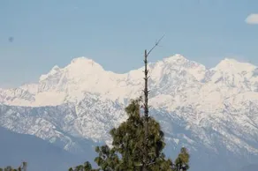 View Himalaya Resort - Image 3